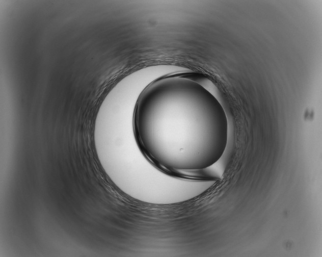 X0000097970720200804071058