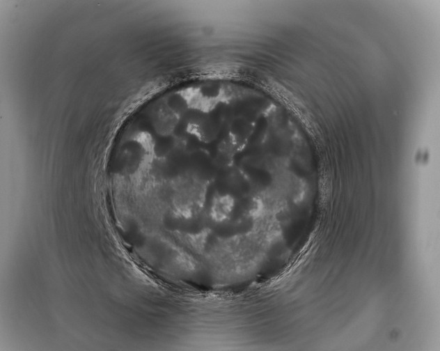 X0000097970721200804071057