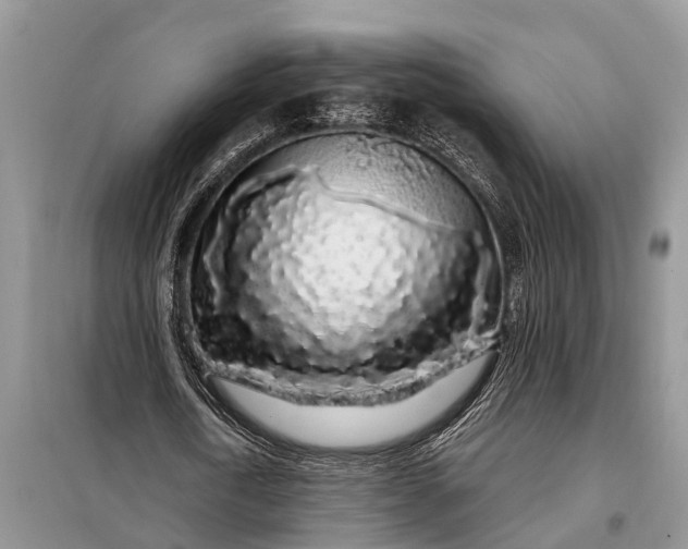 X0000097970722200804071057