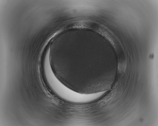 X0000097970724200804071057