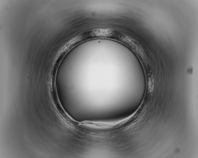 X0000097970725200804071057