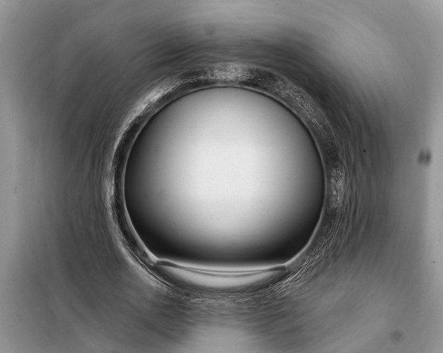 X0000097970726200804071057