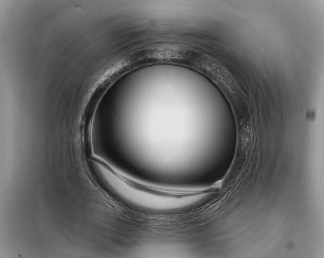 X0000097970727200804071057