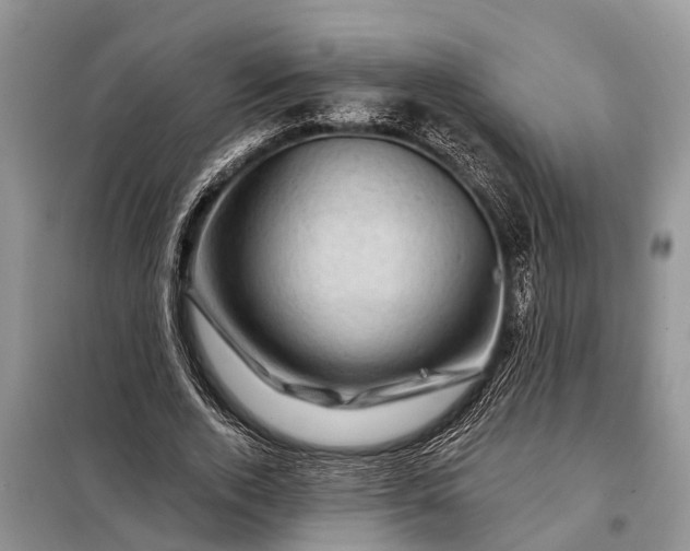 X0000097970728200804071057