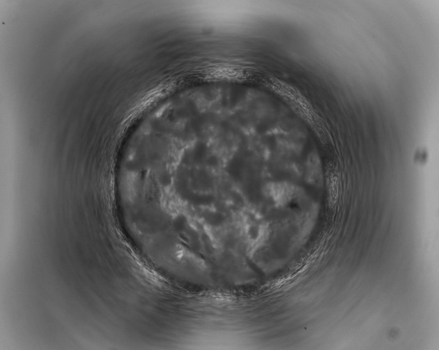 X0000097970729200804071057