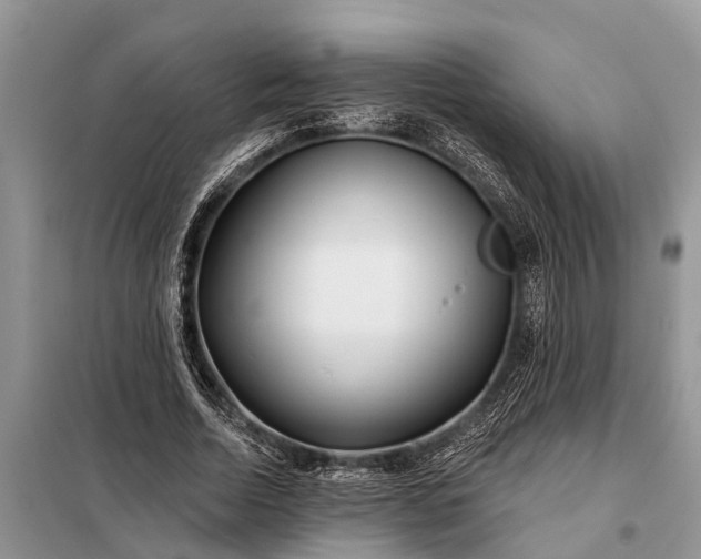 X0000097970730200804071057