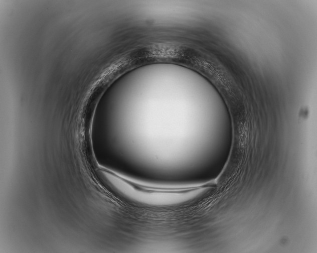 X0000097970731200804071057