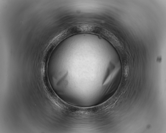 X0000097970733200804071058