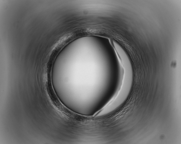 X0000097970734200804071058