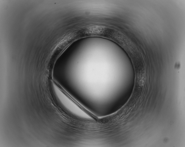 X0000097970735200804071058