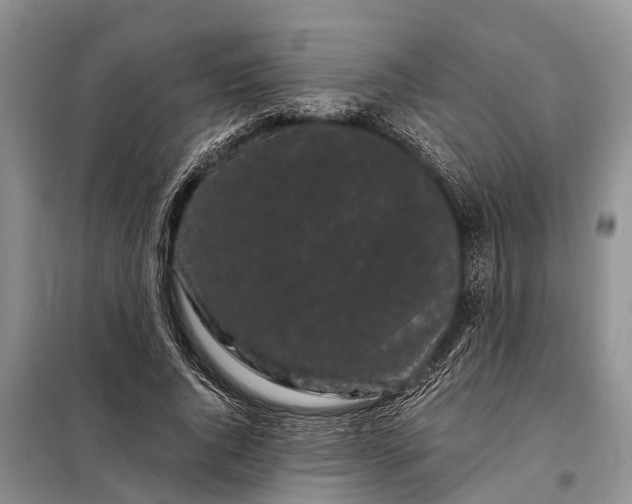 X0000097970736200804071058