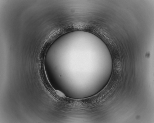 X0000097970738200804071058