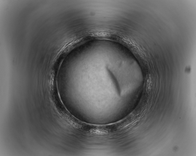 X0000097970739200804071058