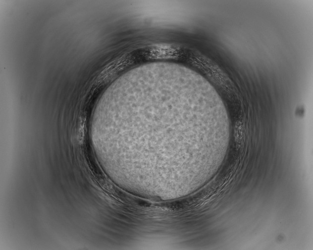 X0000097970741200804071058