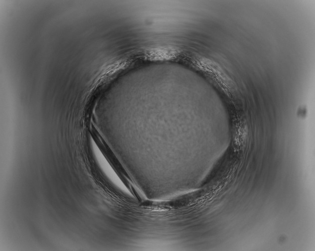 X0000097970743200804071058