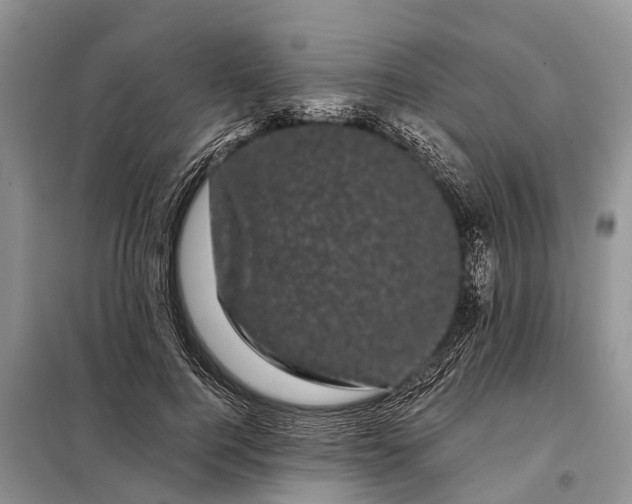 X0000097970744200804071058