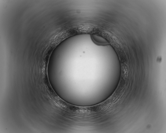 X0000097970745200804071058