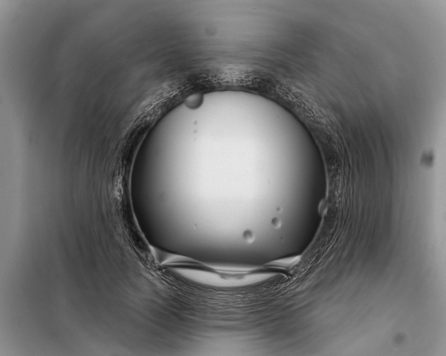 X0000097970746200804071058