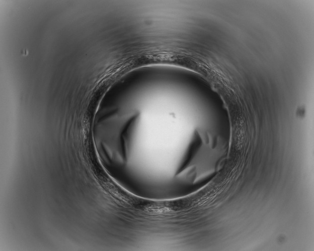 X0000097970747200804071058