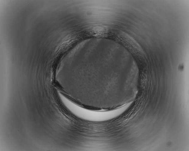 X0000097970748200804071058