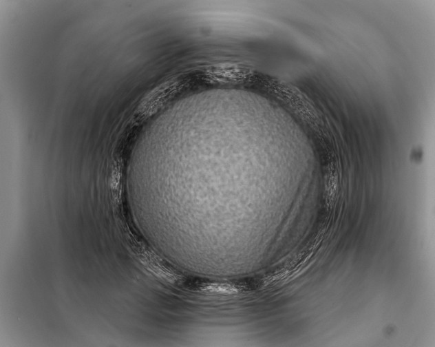 X0000097970749200804071058