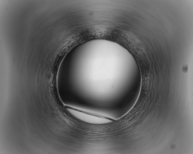 X0000097970750200804071058