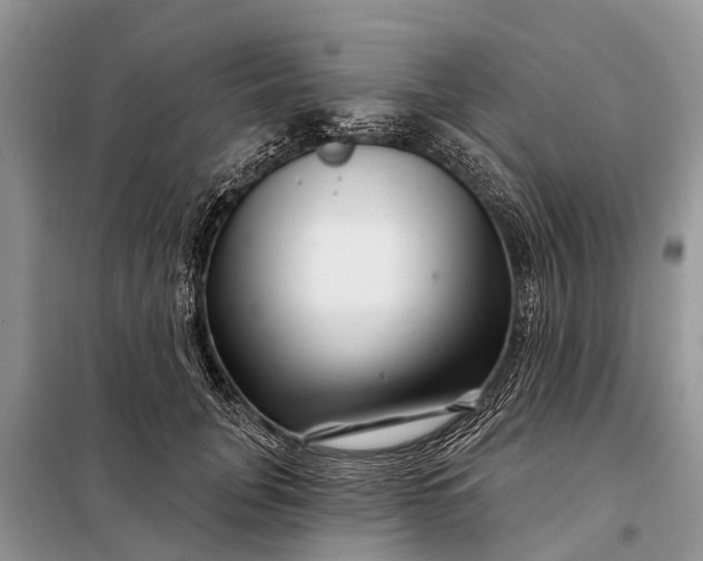 X0000097970751200804071058