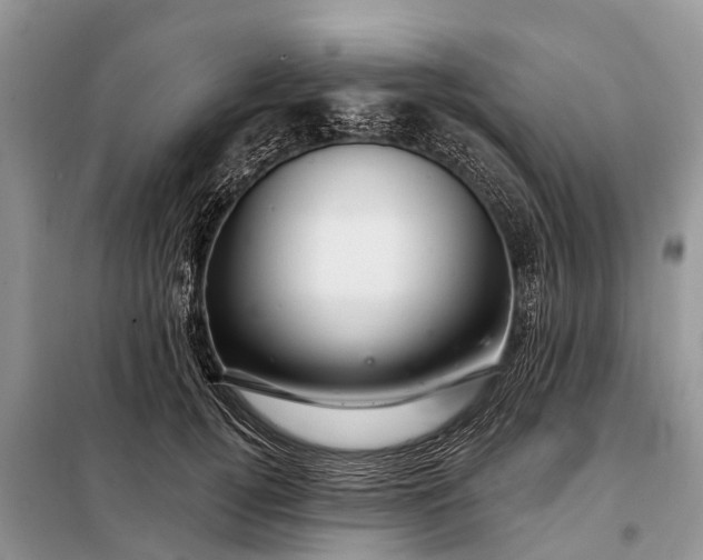 X0000097970752200804071058