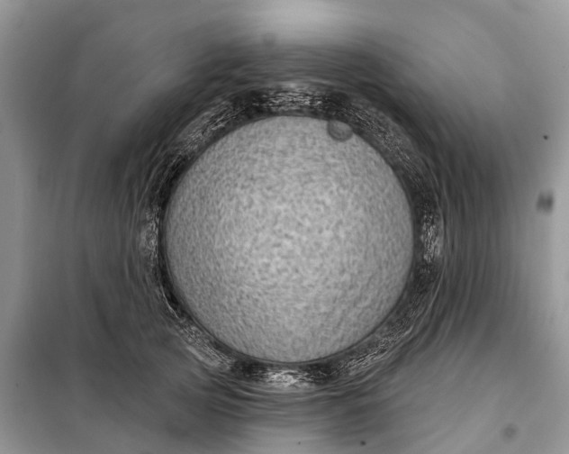 X0000097970753200804071058