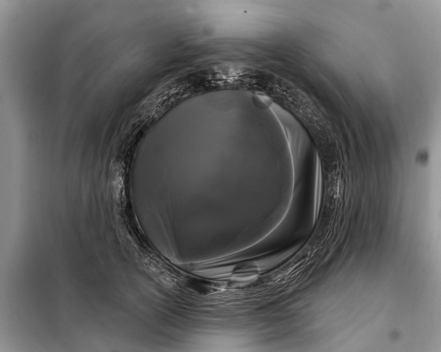 X0000097970754200804071058