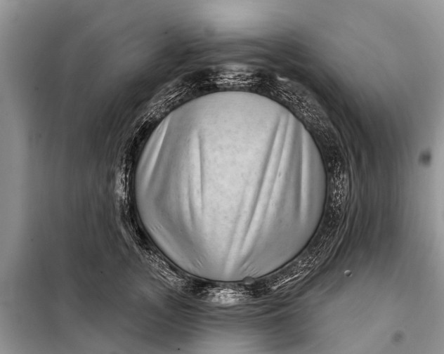 X0000097970755200804071058