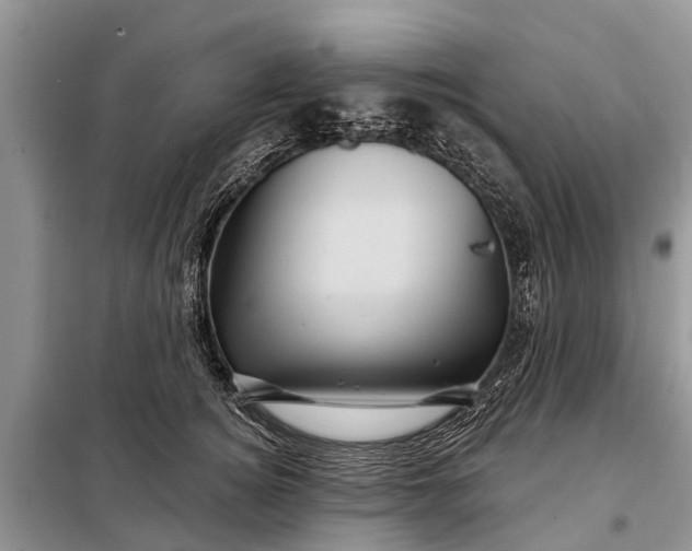 X0000097970756200804071058