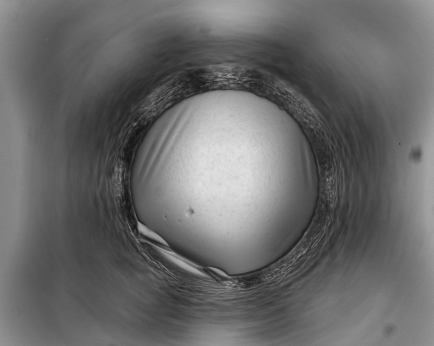 X0000097970757200804071058