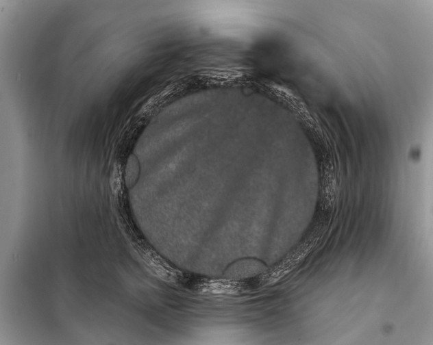 X0000097970758200804071058