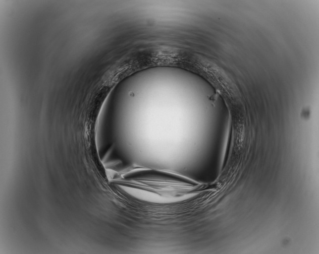 X0000097970759200804071058