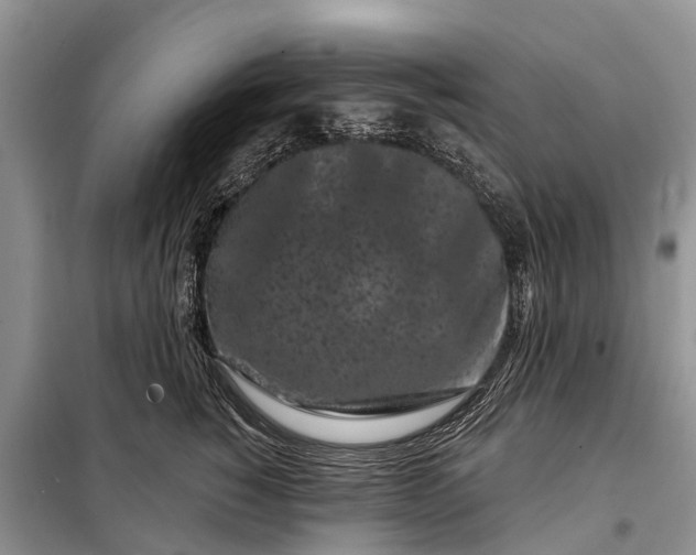 X0000097970760200804071058