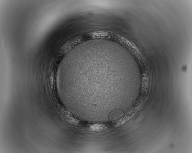 X0000097970761200804071058