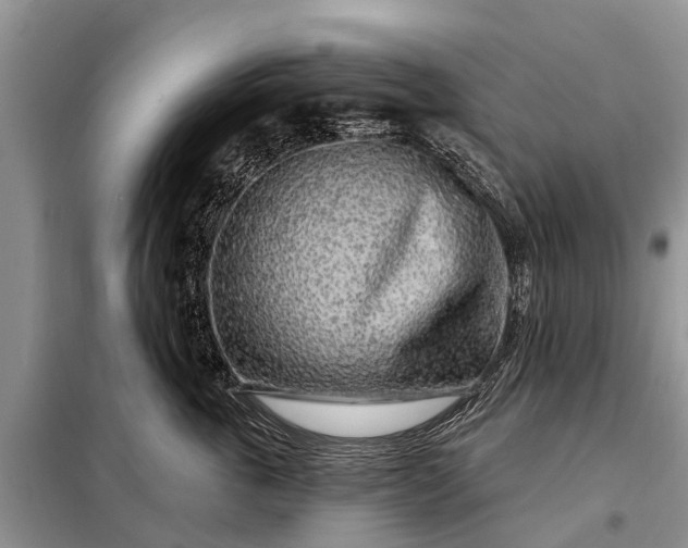 X0000097970763200804071058