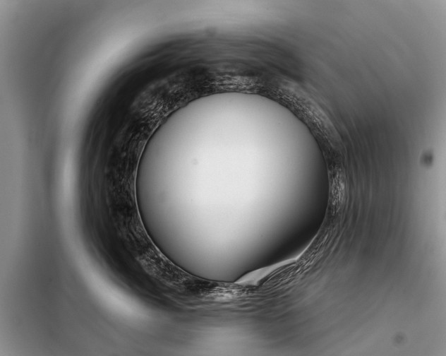 X0000097970764200804071058