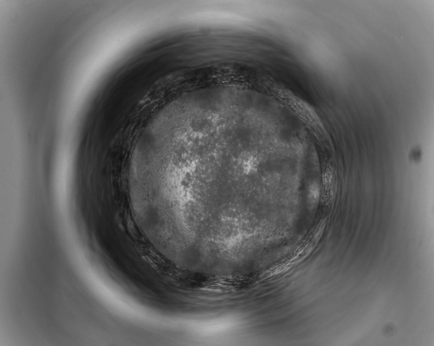 X0000097970765200804071058