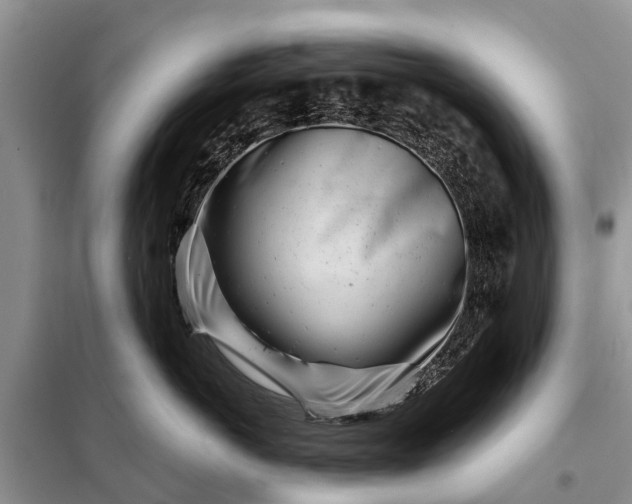 X0000097970766200804071058