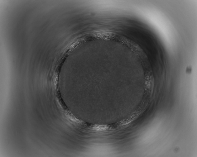 X0000097970767200804071058