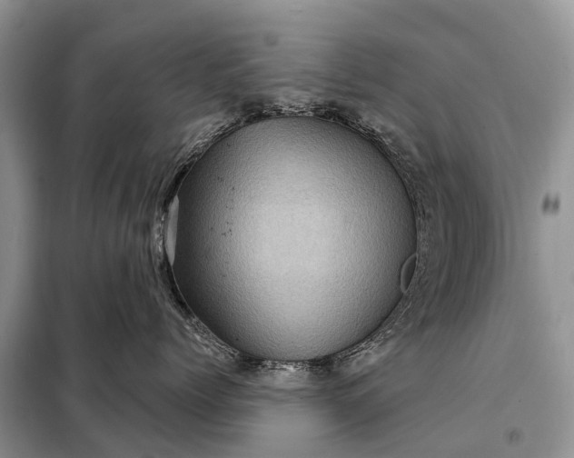 X0000097970768200804071058