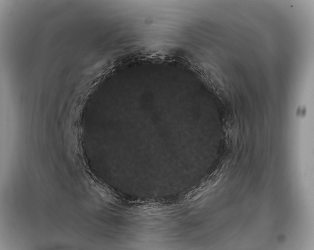 X0000097970769200804071057