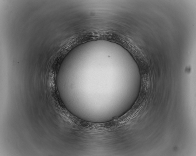 X0000097970770200804071057