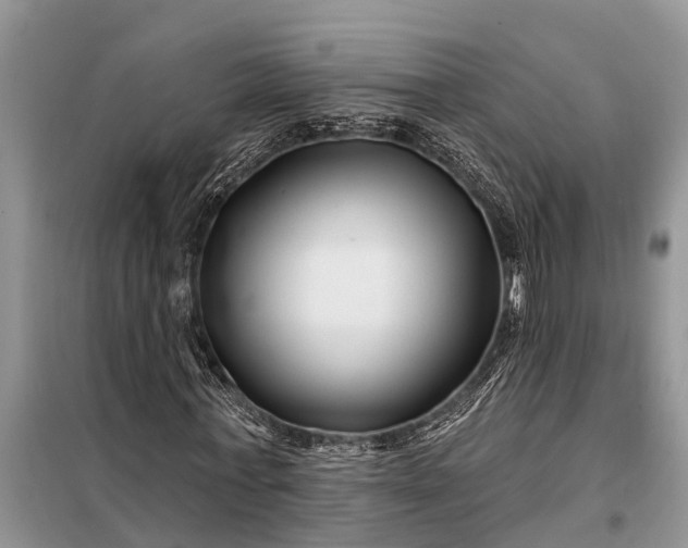 X0000097970771200804071057