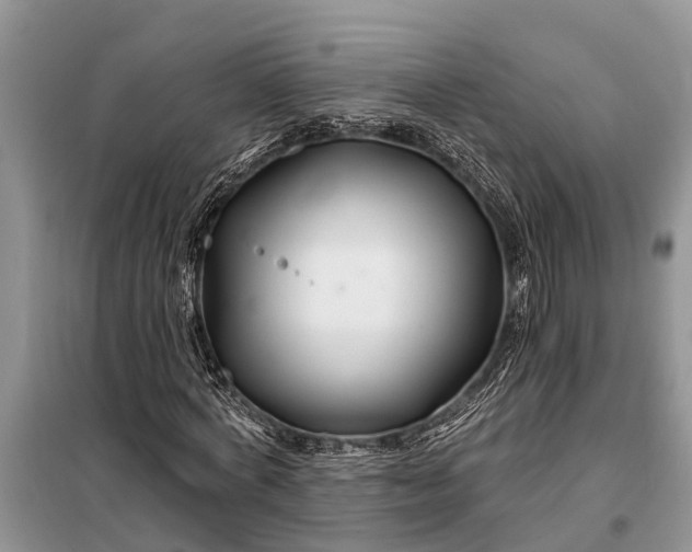 X0000097970772200804071057