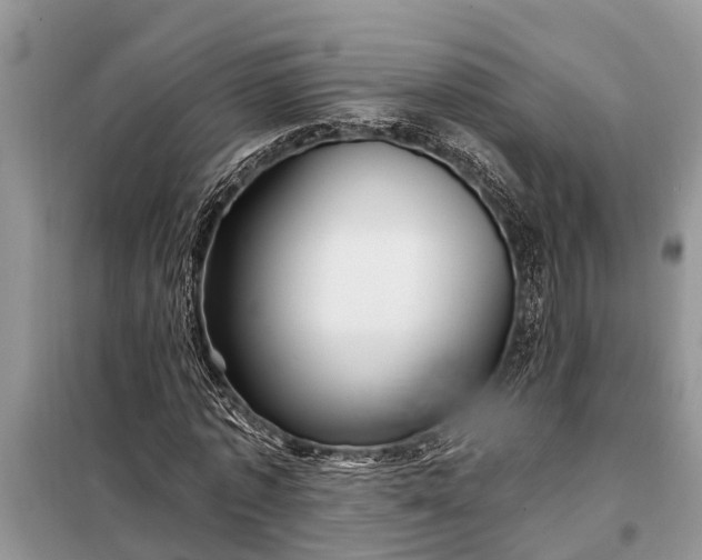 X0000097970773200804071057