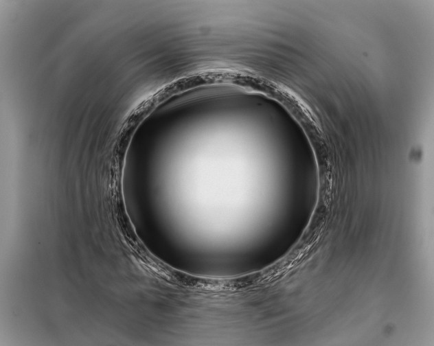 X0000097970775200804071057