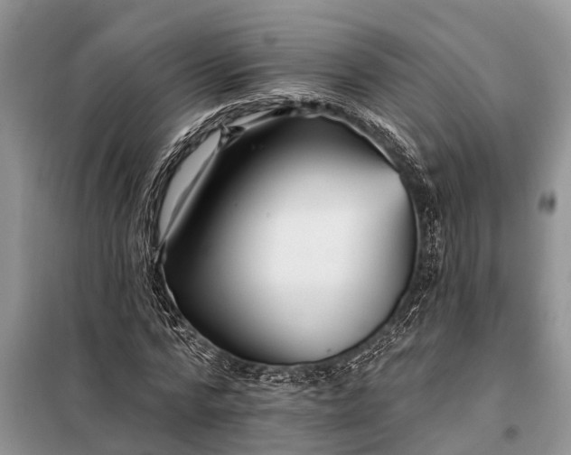 X0000097970776200804071057